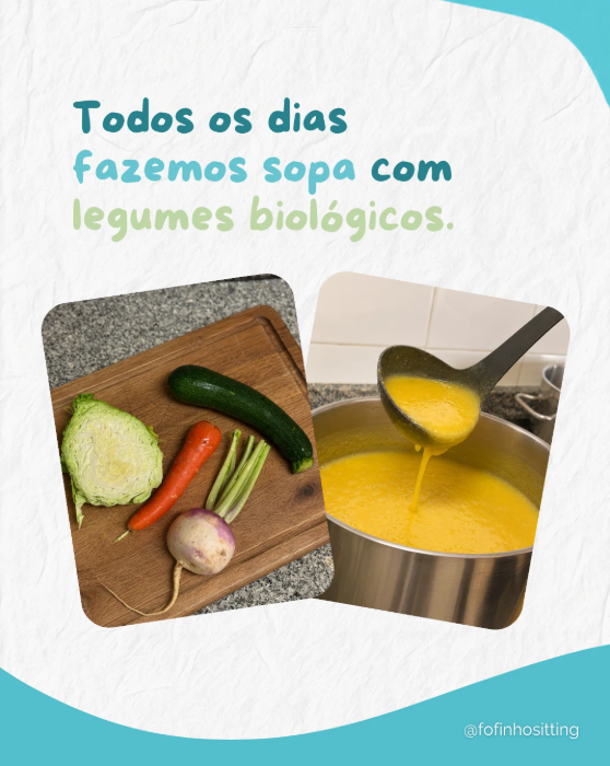 Todos os dias fazemos sopa com legumes biológicos